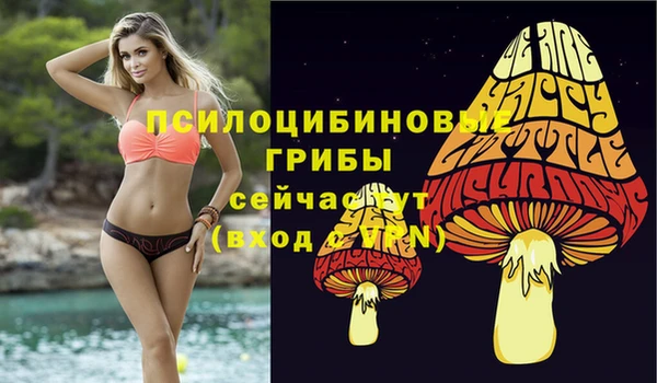 крисы Армянск